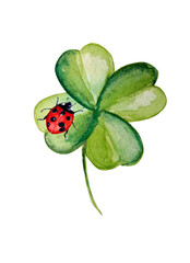 Watercolor painting of clover, ladybug illustration © NATALIIA TOSUN