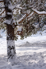 The bird feeder is hanging on a tree, everything is covered with snow