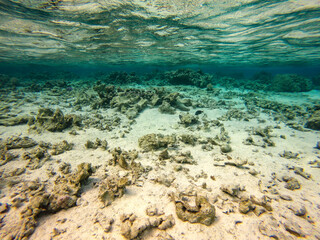 Fond marin à Maupiti, Polynésie française