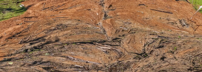 The trash and the brown foam on the surface of the river close up