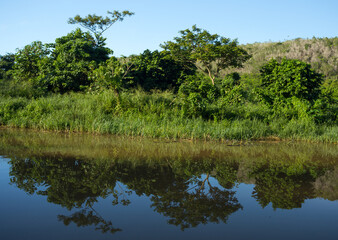 Tanama, Chavon River, Punta Cana, Dominican Republic.