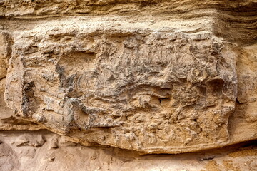 A precipitous wall of gray-brown sand in autumn. Background