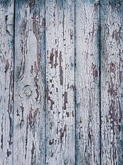 Mint green background of aged wood, fence boards, close-up, top view
