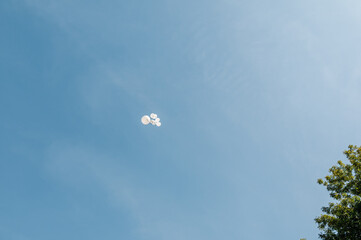 White balloons with ribbons in the sky