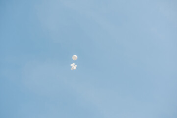 White balloons with ribbons in the sky