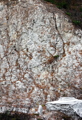 Fallen pine needles on a sheer cliff of white stone in autumn. Background