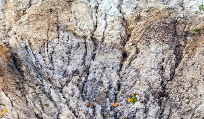 Traces of running water after rain on the lake in the autumn. Background
