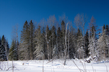 Winter landsacape on the countryside