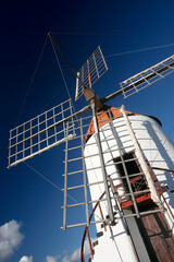 CANARY ISLANDS LANZAROTE CACTUS