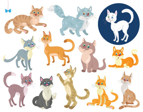 Set of funny cats in different colors and  in various poses. In cartoon style. Isolated on white background. Vector flat illustration.