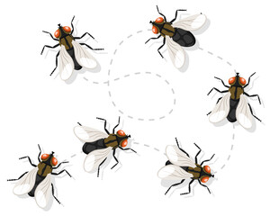 Insect fly moves along a route on a white background. Top view.