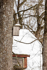 Vertical photo of aged square handmade bird house on the big tree trunk snow on roof having background of snowy abandoned house roof and leafless trees
