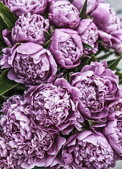 Obraz na płótnie Canvas delicate fresh flowers and buds pink peonies . close up. vintage style 