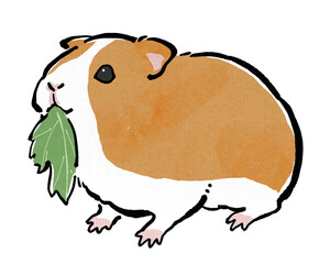 葉っぱを食べる茶色のモルモット