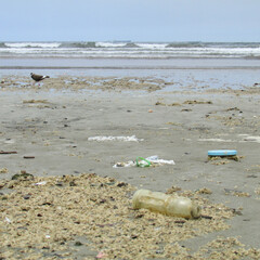 Polluted beach. Beach with pollution. Trash, plastic bottles. Environmental pollution. Plastic in the sea.