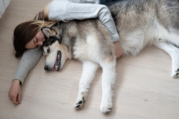 Caucasian woman embracing alaskan Malamute dog with love. Indoor.