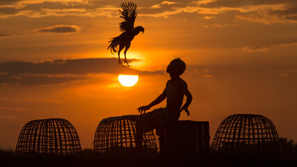 Thai man spraying water to refresh domestic fighting cock in the background of sunrising. The...