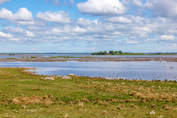 View of a lake from a beach meadow