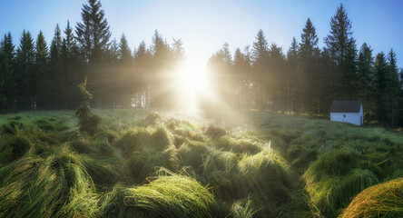 &Scaron;umava - Such&eacute; Stud&aacute;nky - Czechia