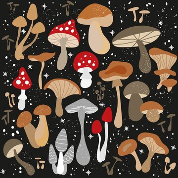 Mushroom set of vector illustrations isolated on black. White mushroom, chanterelles, honey agarics, champignons, fly agarics, morels. Set of ingredients for the witch's potion. Cartoon style.