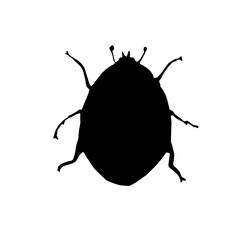 Beautiful lady bug silhouette art illustration