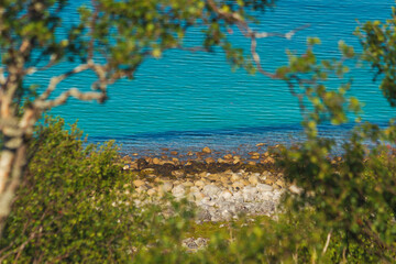 ocean and stone beach views through forest foliage