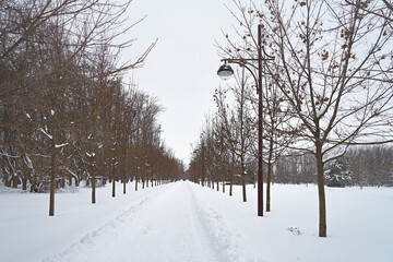 City park covered with snow.