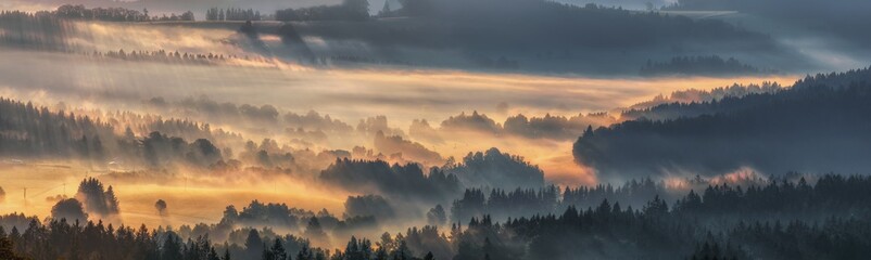 Fototapeta premium Šumava - Javorná - Czechia