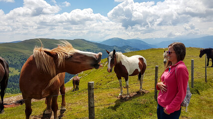 A woman in a pink pullover and laughing at the horse, which laughs back at her. A heard of horses graze at the lush Alpine pasture in Austria. Having fun and joking around. Lush mountain slopes around