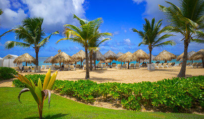 Fototapeta premium Karibik Strand in Punta Cana