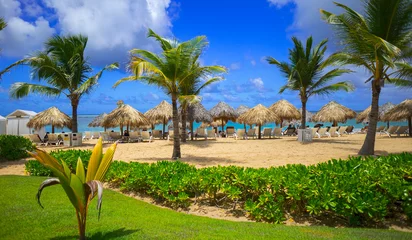 Foto op Plexiglas Karibik Strand in Punta Cana © holger