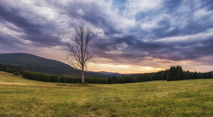 Šumava - Velký Bor - Czechia