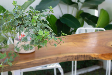 Outdoors garden plant pot decoration