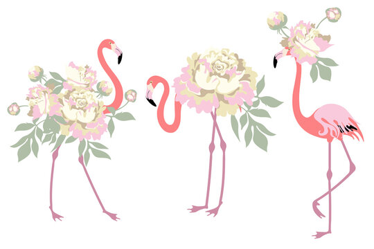 Set of pink flamingo with peony flower. Abstract birds. Simple flat style.