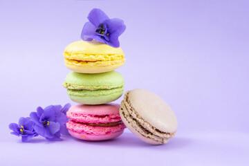 Pile of colorful french almond cookies and little flowers on purple background with copy space
