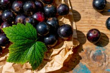 Composition with sunlit ripe black currant berries on wooden table with paper and green leaf. Macro vegetarian food