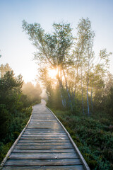 Obraz premium Šumava - Chalupská slať - Czechia