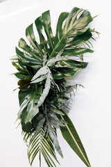 various of exotic green leaves of monsters and palm trees for nature concept,set of tropical leaf isolated on white background