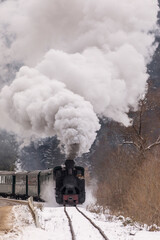 Fototapeta na wymiar Old train with big smoke during winter time in Moldovita, Bucovina. Romaniia.
