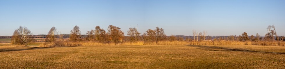 Fototapeta na wymiar wide bavarian fields are shining brownish golden in the early springtime sun