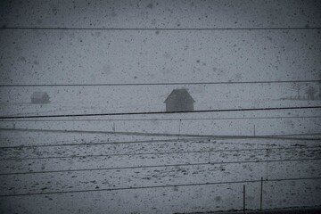 snow storm or blizzard in winter