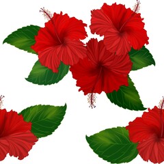 Hand drawn illustrations set of hibiscus flowers on white background design for seamless pattern 