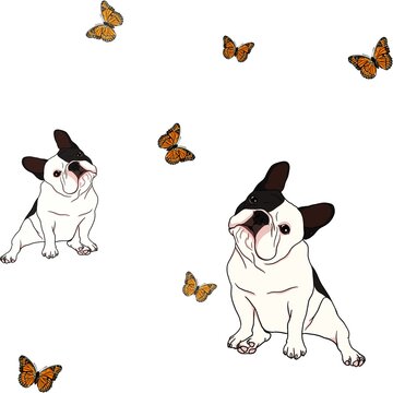 Hand drawn illustrations portrait of French Bulldog breed and butterflies on white background. Design for seamless pattern. Texture for fabric, wrapping, textile, wallpaper, posters and web design.