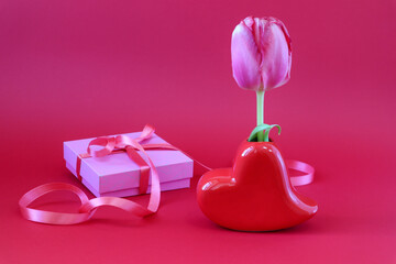 A scarlet tulip in a heart-shaped vase, a gift on a scarlet background, a side view-the concept of the arrival of wonderful spring holidays