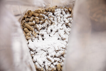 a bag with straw pellets gets some gypsum, preparing for mushroom cultivation