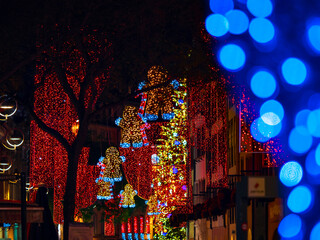 Fototapeta na wymiar The streets of the night Strasbourg before the new year. Christmas decorations, illumination.
