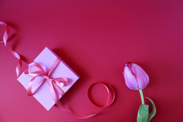 Gift box with a scarlet bow, red tulip on a scarlet background, top view, space for text