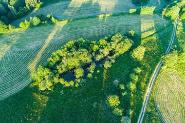 Islet of trees between green meadows and farmland in the picture from a drone.
