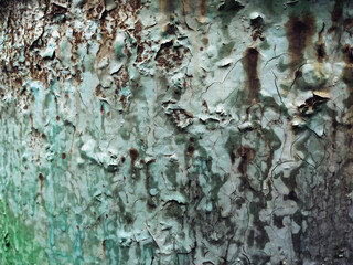 Smudges and cracks of old bright green paint interspersed with rust. Vintage background, copy space.