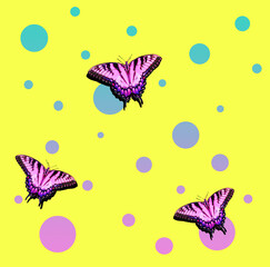Butterfly digital illustration